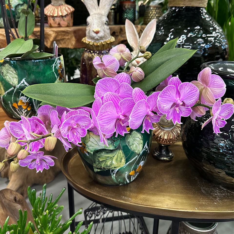 foto interiérového květináče s barevnou květinou, zahradní doplňky; RTERRA